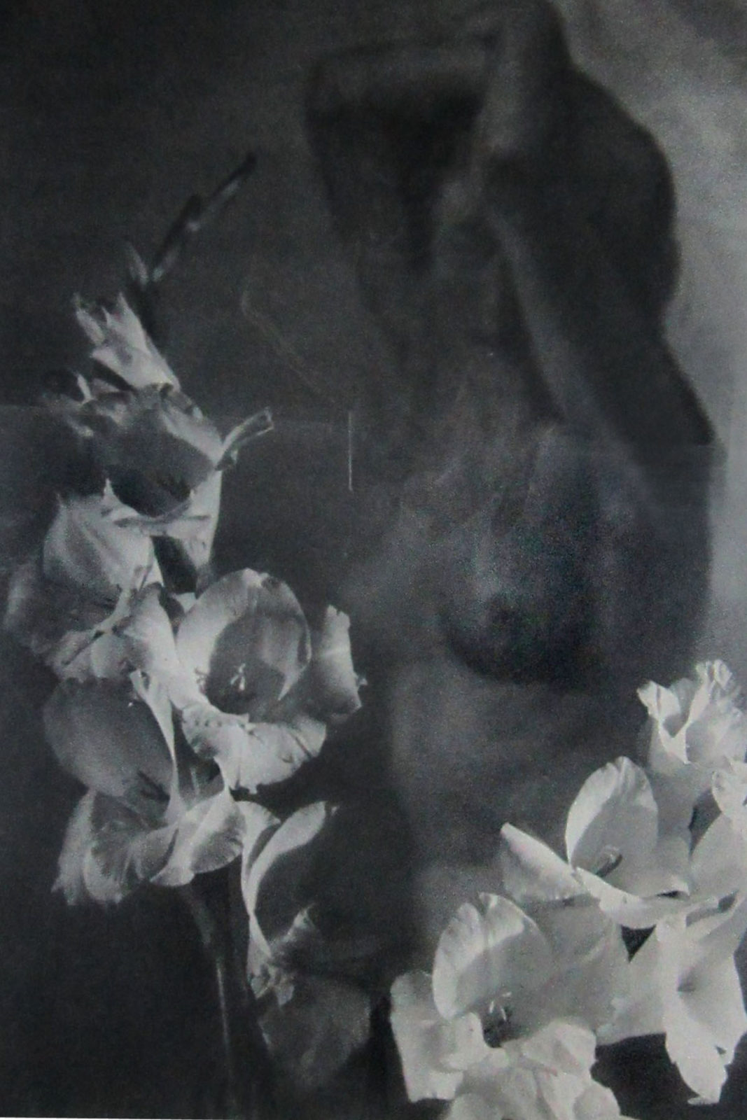 Lisardo Arlandis Corral