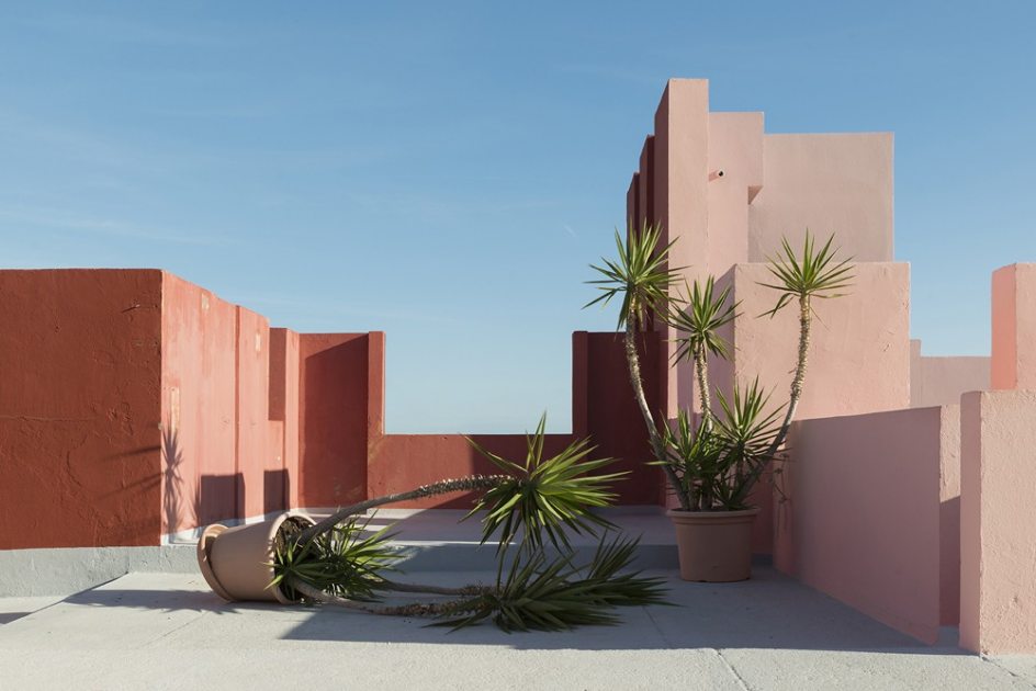 'Palm Trees Routine', de Andrés Gallardo Albajar