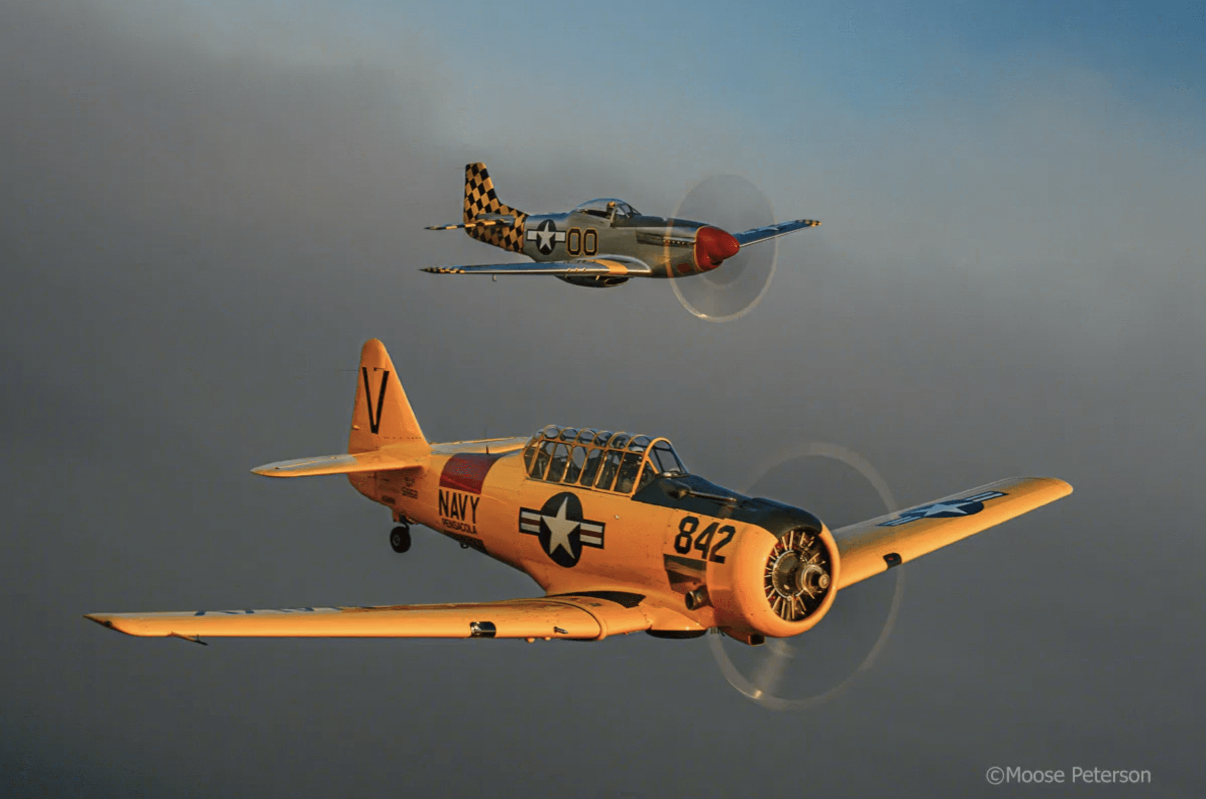 Dos aeroplanos en formación. Moose Peterson,  los mejores fotógrafos del mundo.